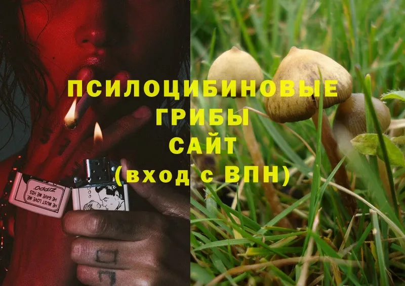 Галлюциногенные грибы MAGIC MUSHROOMS  Барабинск 